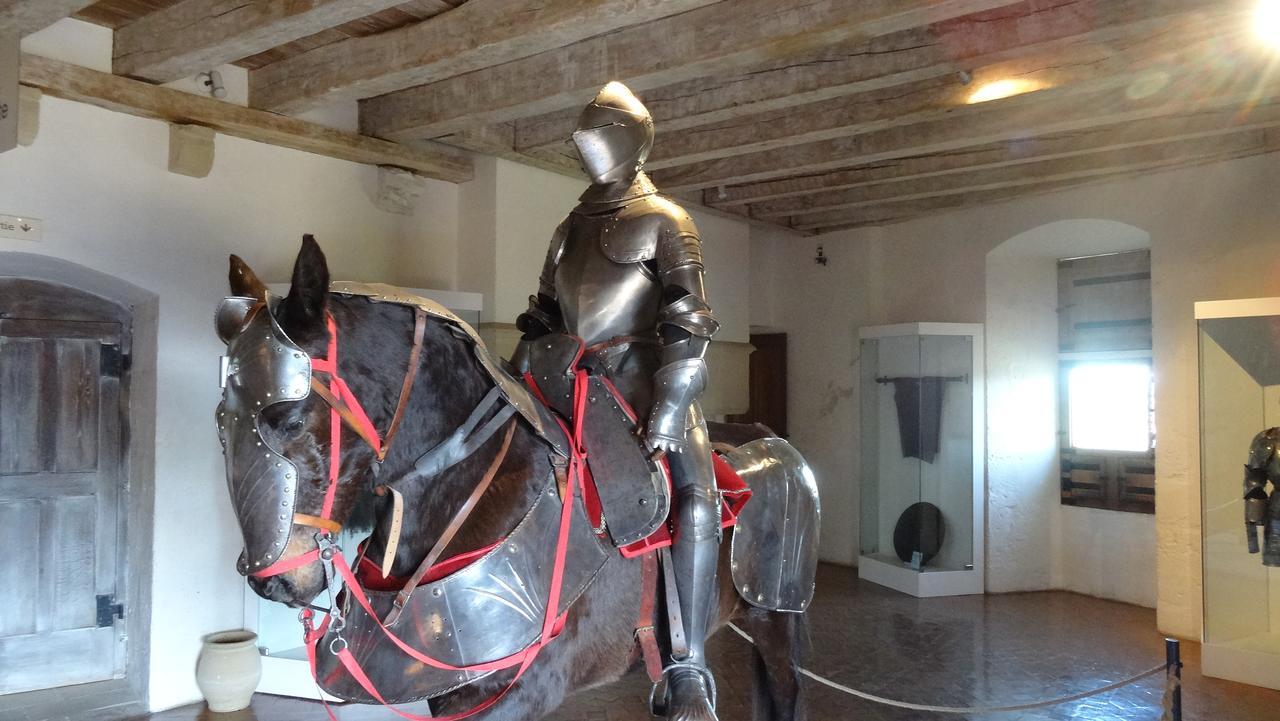 Terre D'Histoire - Baignade - Canoe - Piste Cyclable A 100 M Castelnaud La Chapelle Dış mekan fotoğraf